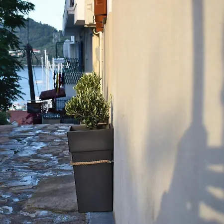 Πανσιόν Voula's House *