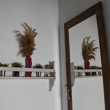 Voula's House 斯基亚索斯镇