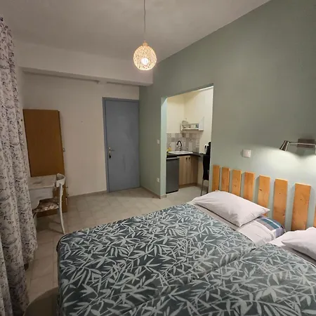 Voula's House 4* 斯基亚索斯镇